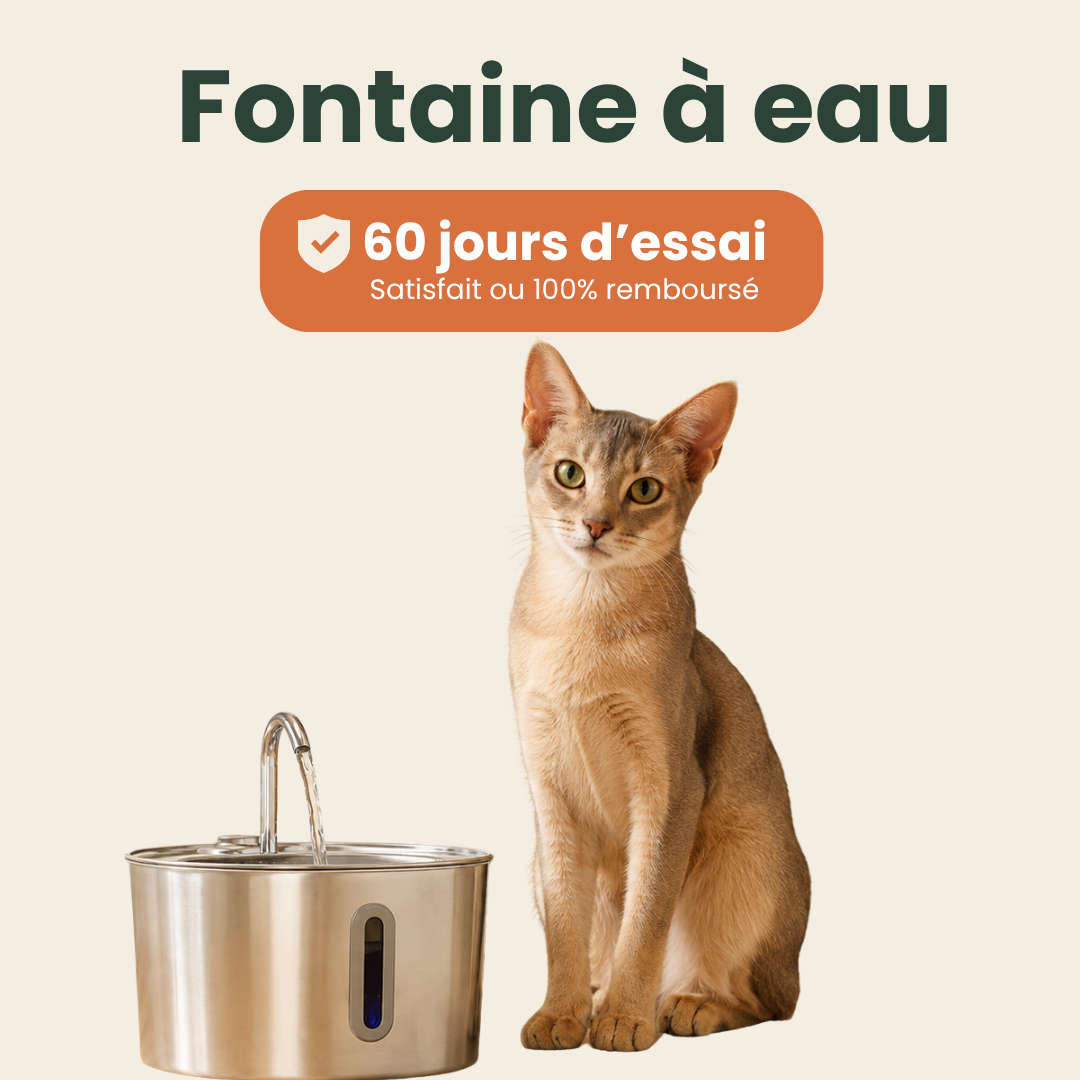 Fontaine Monfelio